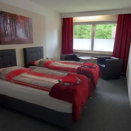 Hotel Georgenhoehe Wildemann 3*